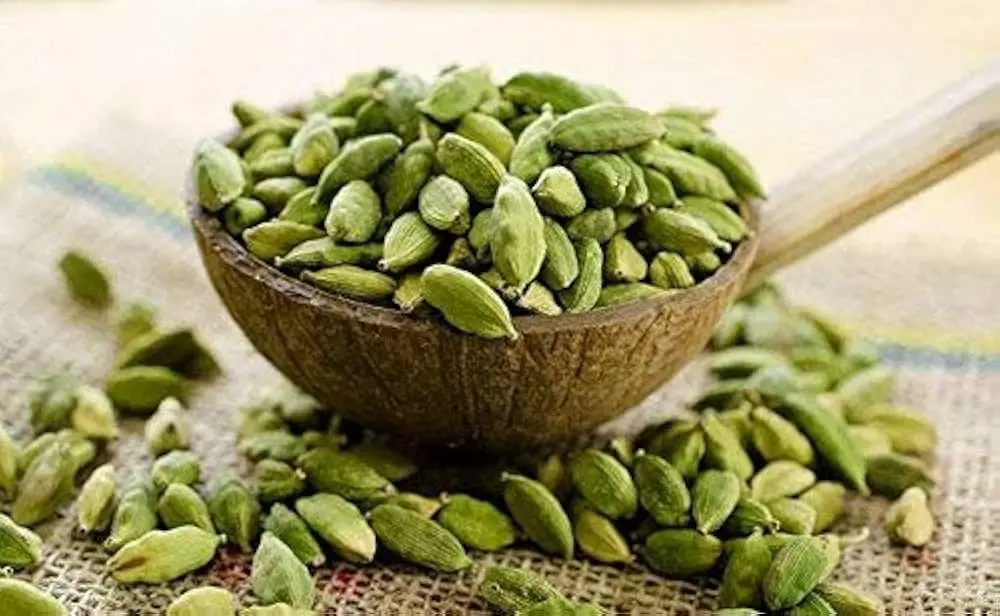 JS90 FOODS 100gm Choti Elaichi (Small Green Cardamom) – Aromatic & Flavorful Spice for Cooking, Tea & Sweets